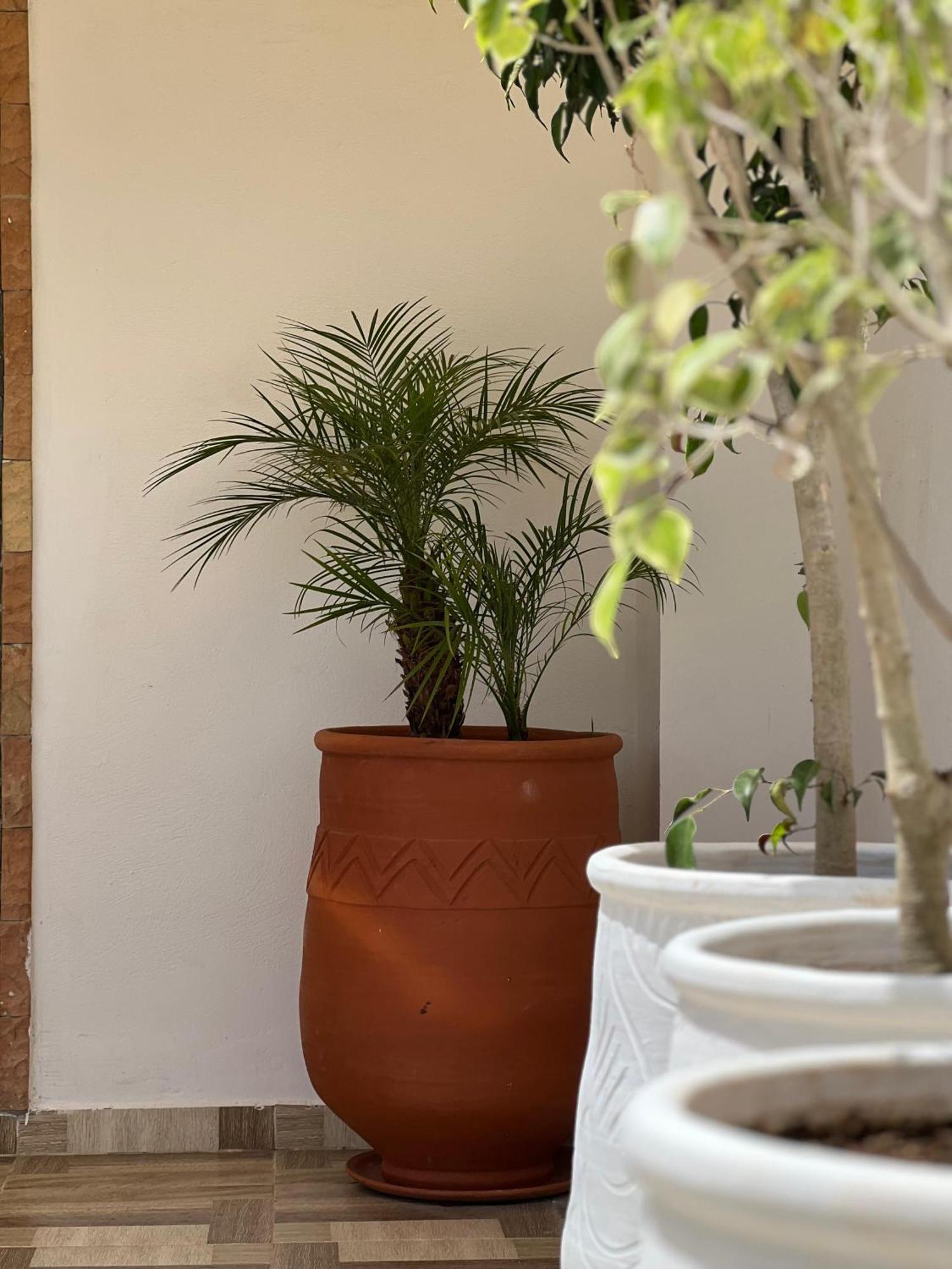 Riad Safia Rabat Bagian luar foto